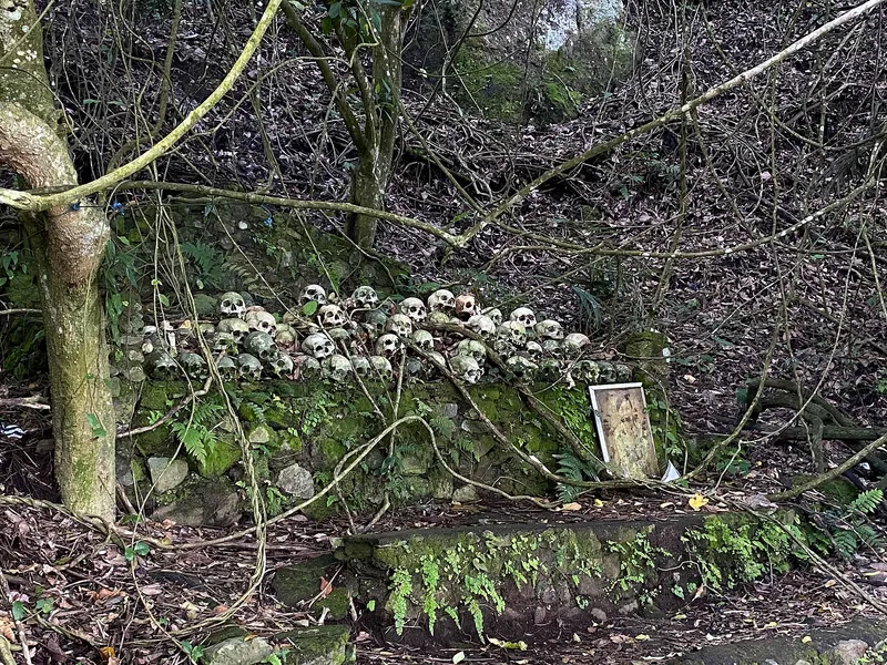 Trunyan Cemetery