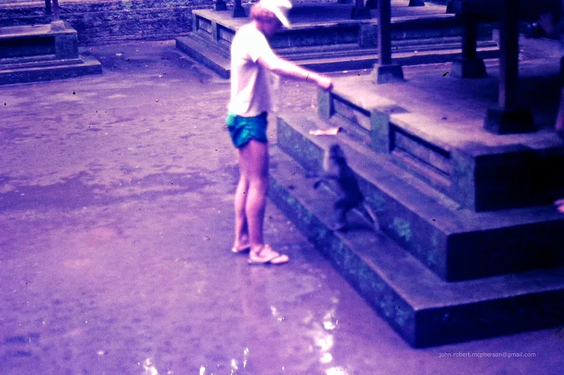 Sangeh Monkey Forest