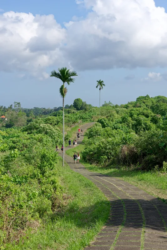 Campuhan Ridge Walk